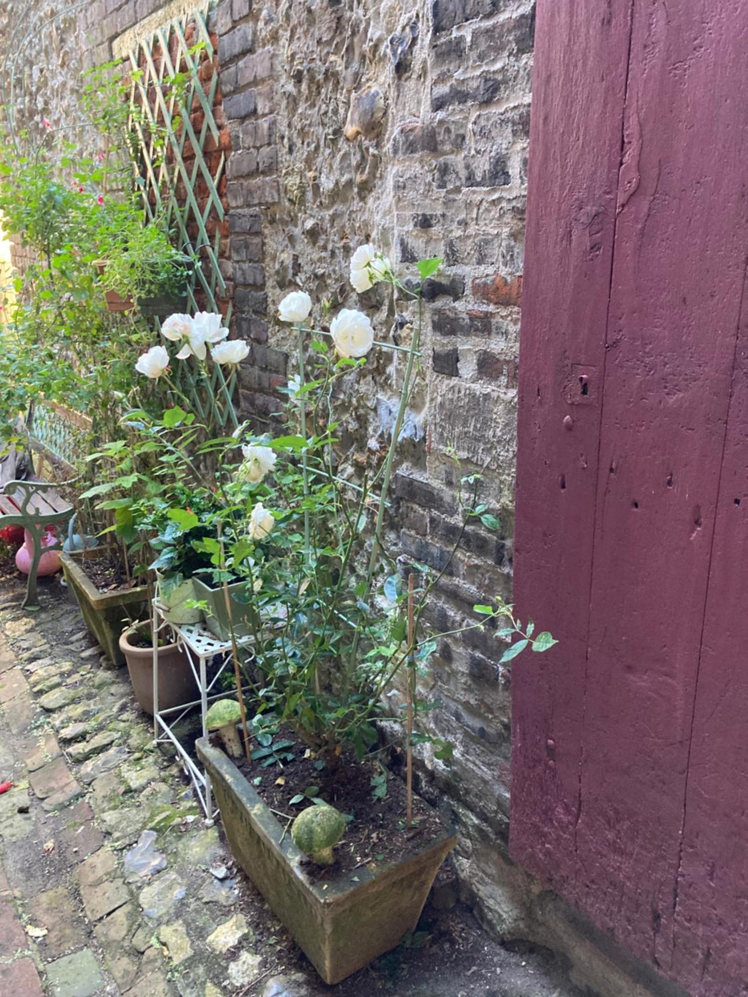 La Maison Belle Maree Honfleur Luaran gambar